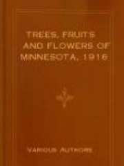Trees, Fruits and Flowers of Minnesota cover