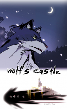 WOLF'S CASTLE cover
