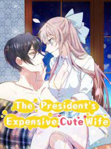 The President's Expensive, Cute Wife cover